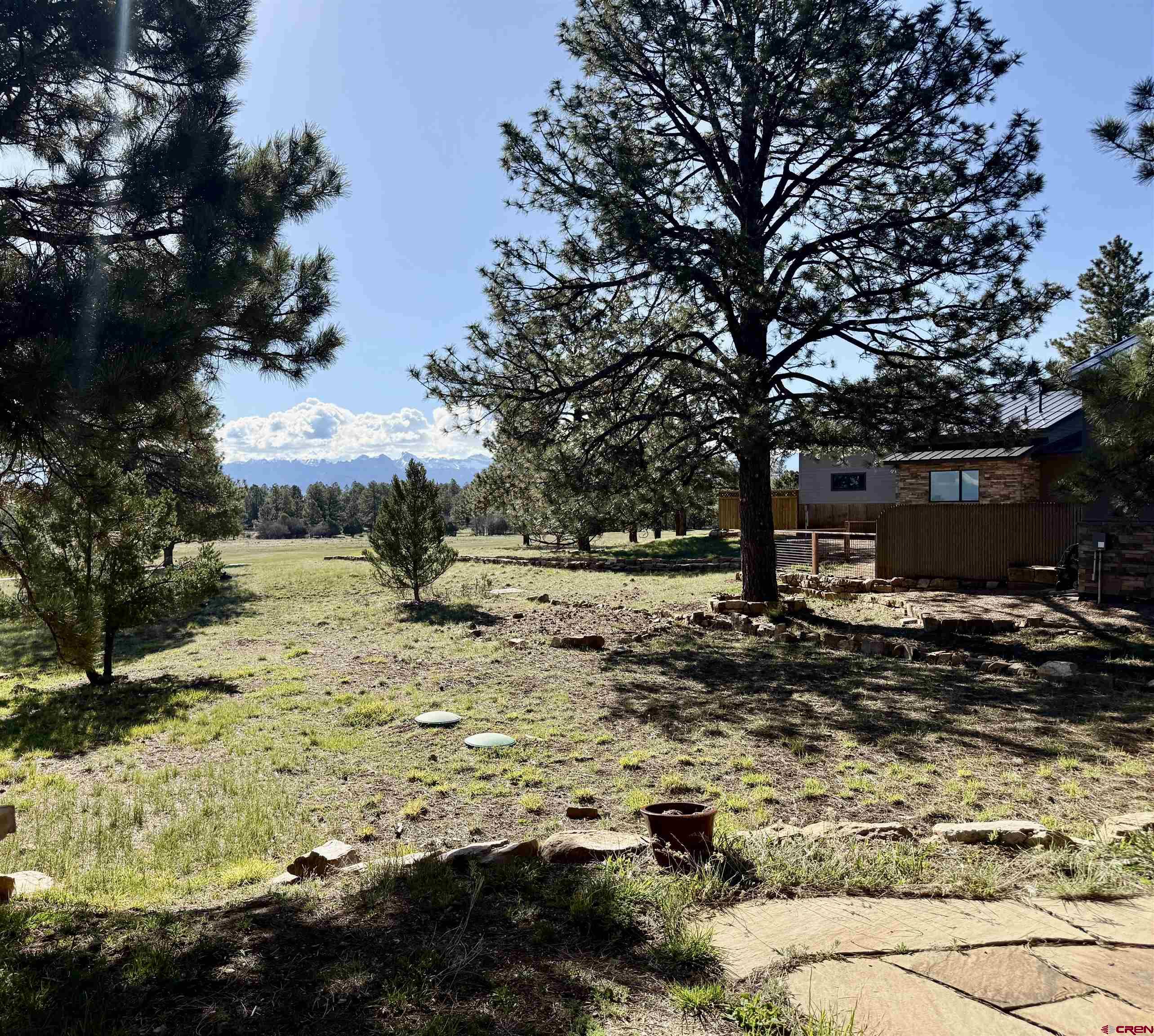 592 South Badger Trail Ridgway, CO 81432 - Photo 20 of 29 a view of a yard with plants