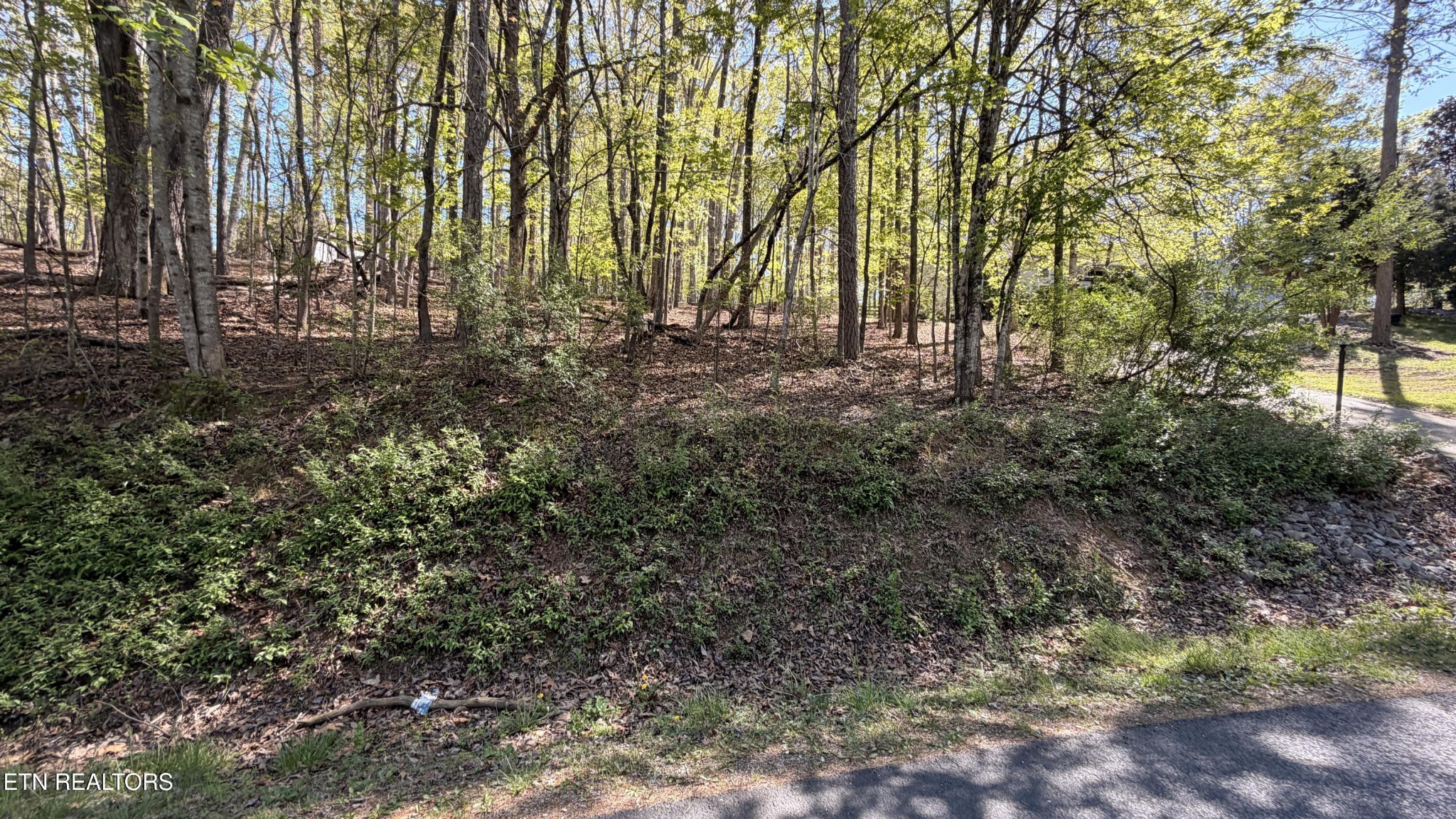 280 Ootsima Way Loudon, TN 37774 - Photo 3 of 4