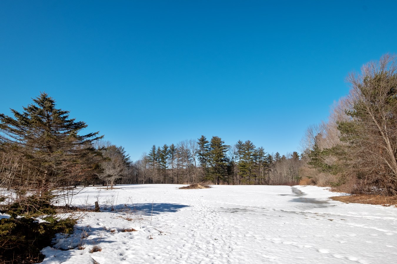 135 Middle Road Brentwood, NH 03833 - Photo 36 of 37