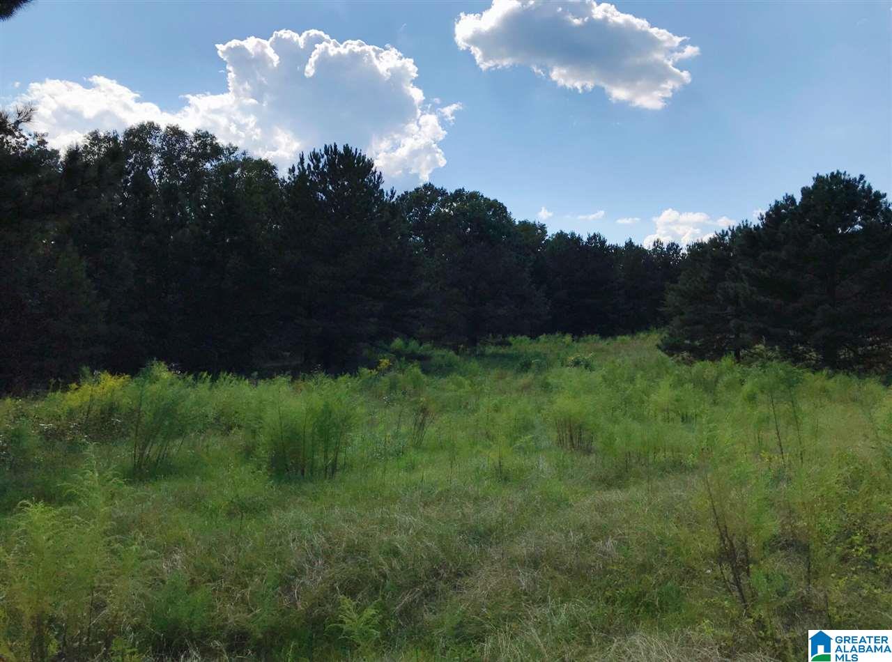 1525 Chelsea Road, Unit 1525 Columbiana, AL 35051 - Photo 8 of 33