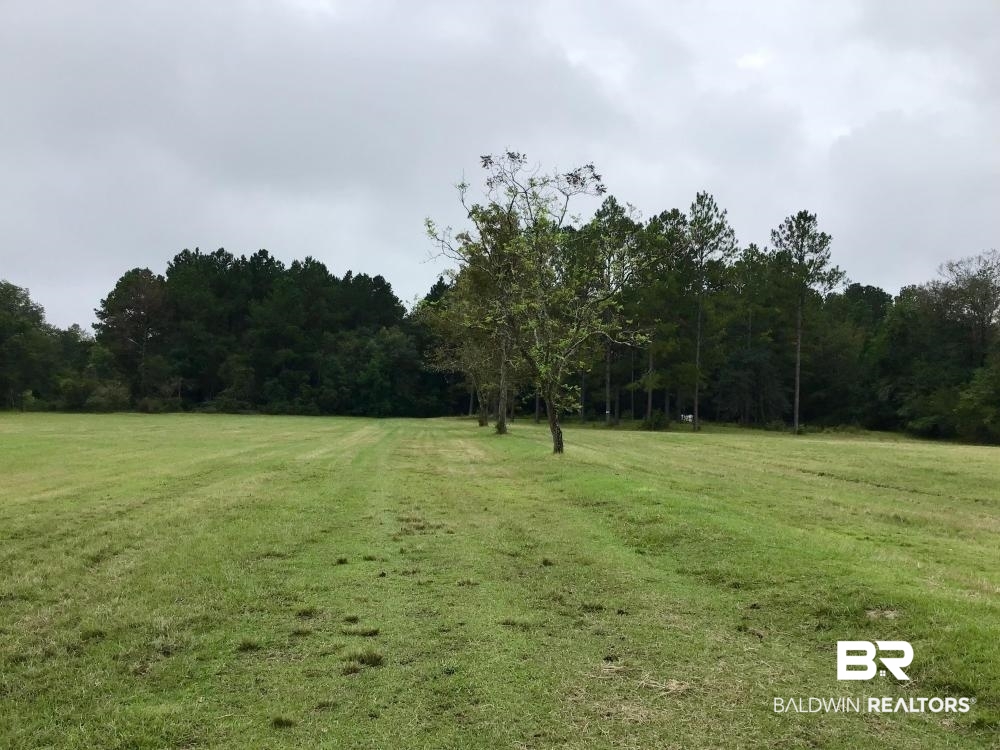 0 Country Road Axis, AL 36505 - Photo 12 of 42