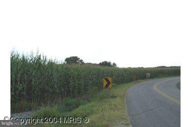 8211 Marye Road Partlow, VA 22534 - Photo 1 of 1 a view of a green field with mountains in the background