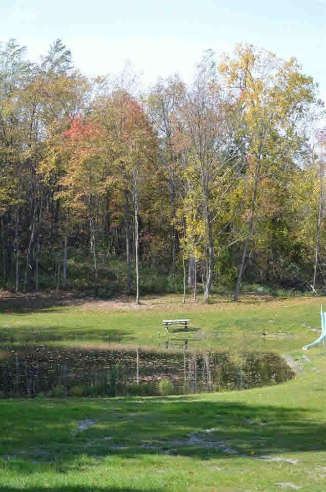 1877 Gray Road Lapeer, MI 48446 - Photo 7 of 13 20344095-6.JPG