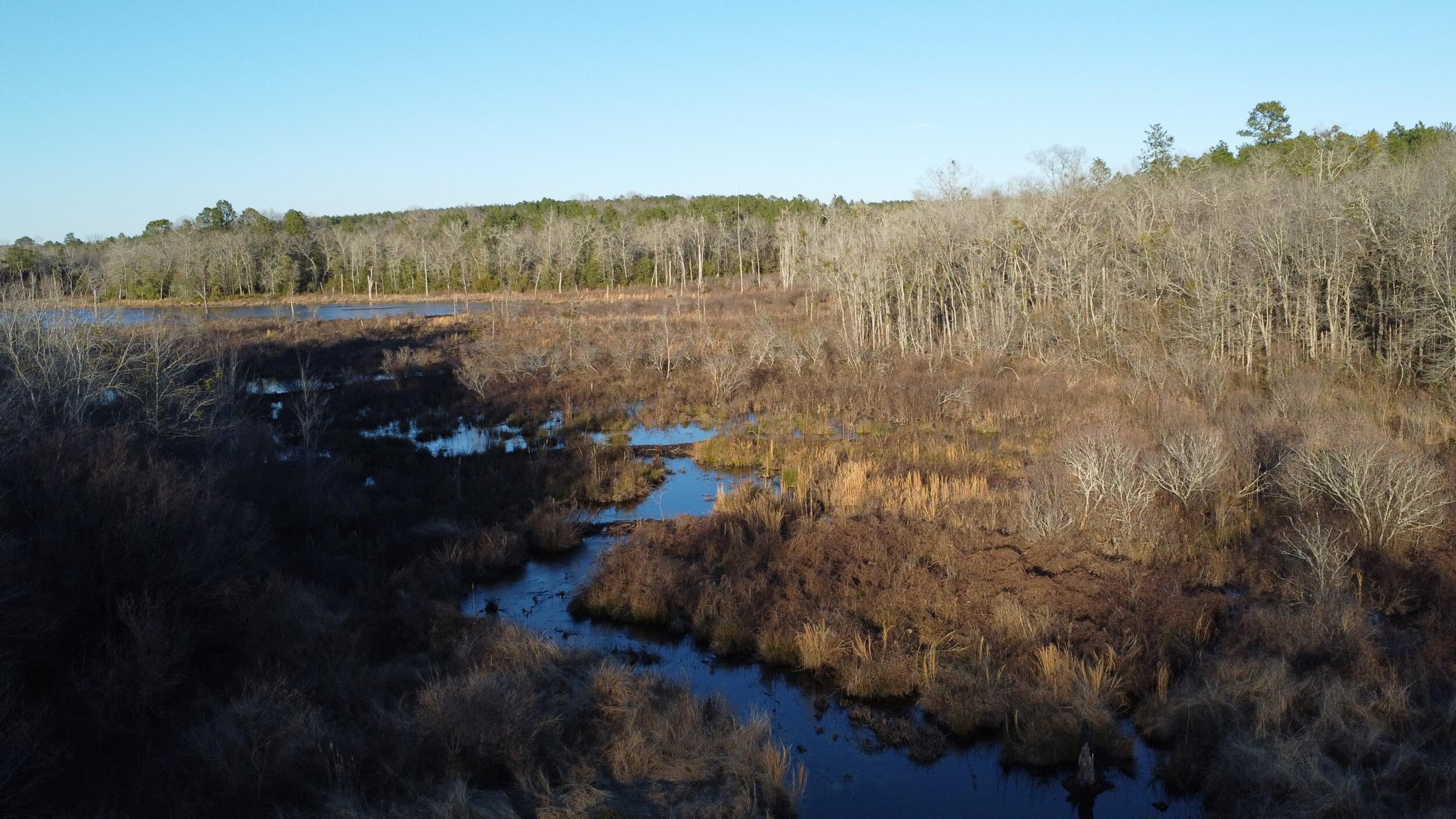 0 Millers Pond Road Salley, SC 29137 - Photo 7 of 28
