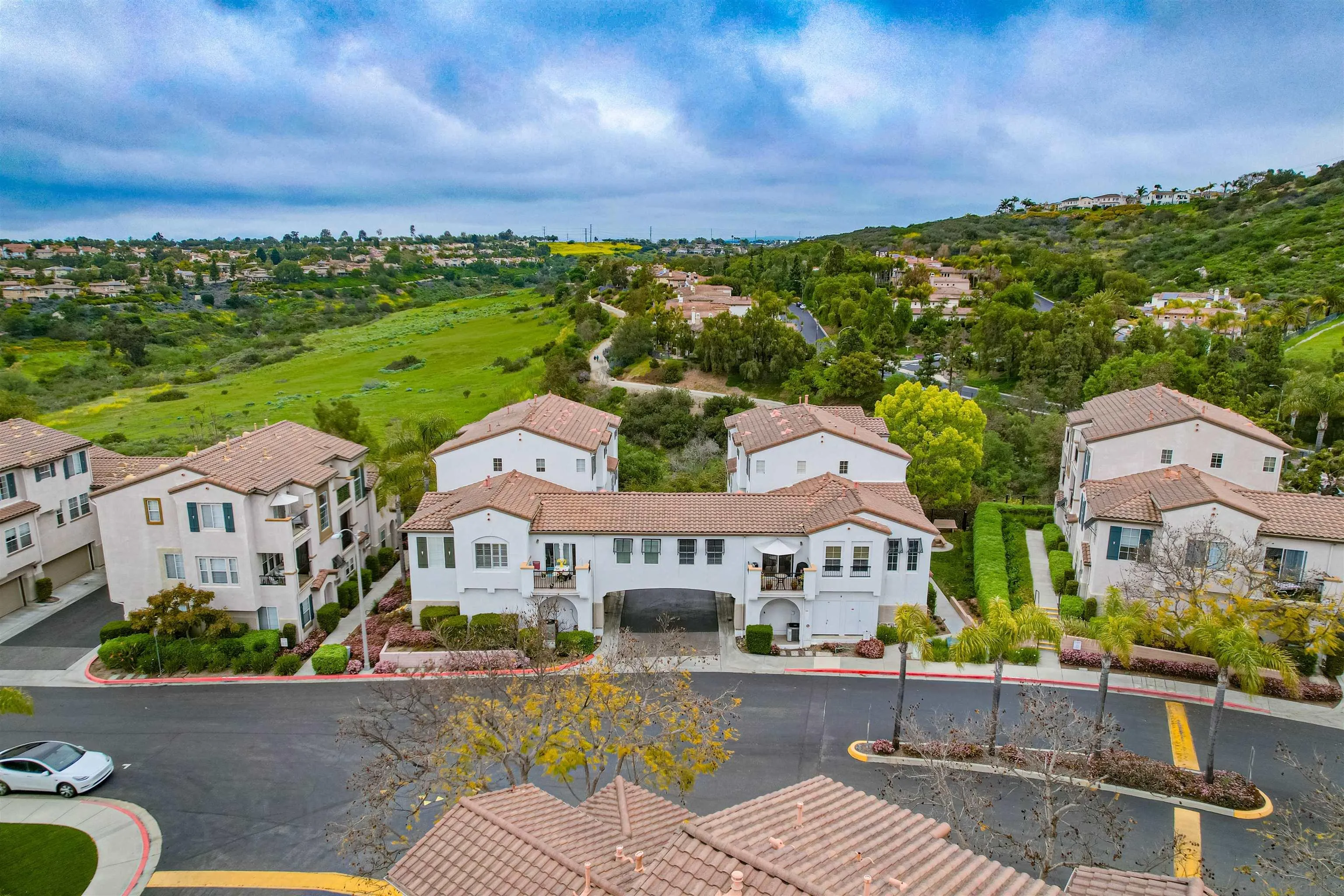 3147 Via Puerta Carlsbad, CA 92009 - Photo 30 of 32 an aerial view of multiple houses with a yard