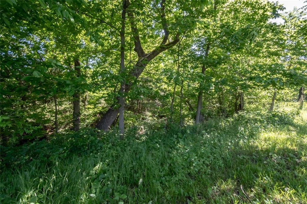 820 East 1000th Road Lawrence, KS 66047 - Photo 81 of 91