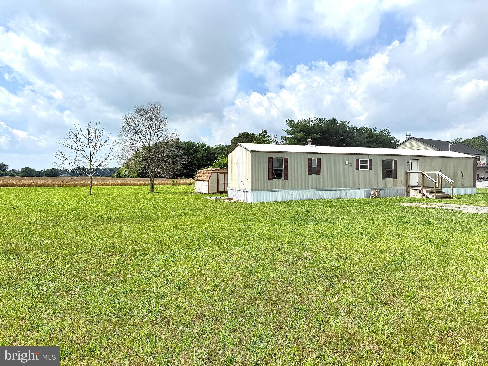 a view of a house with a big yard and a large tree