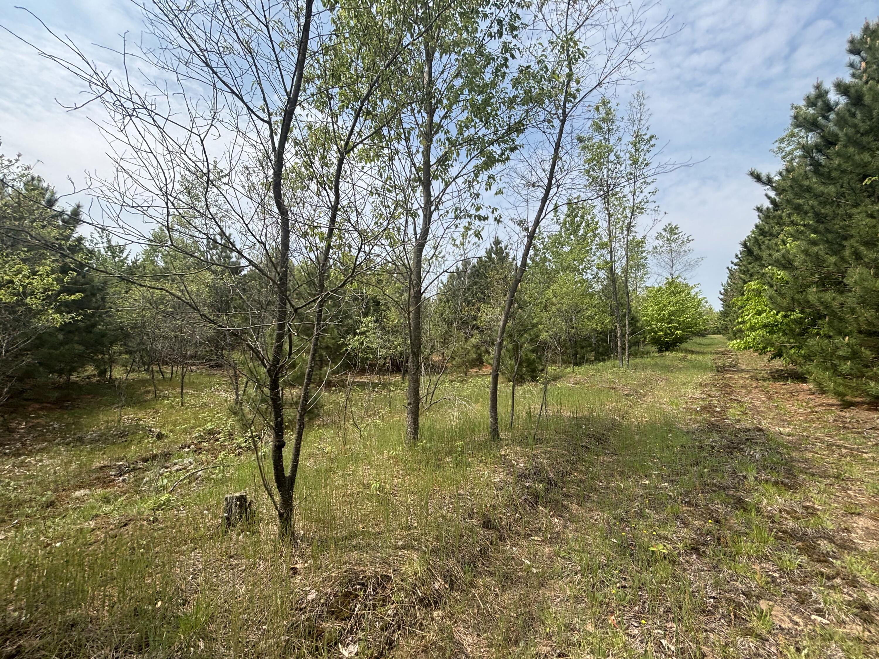 21.07 A Clark Road Kingsley, MI 49649 - Photo 20 of 25 IMG_7409
