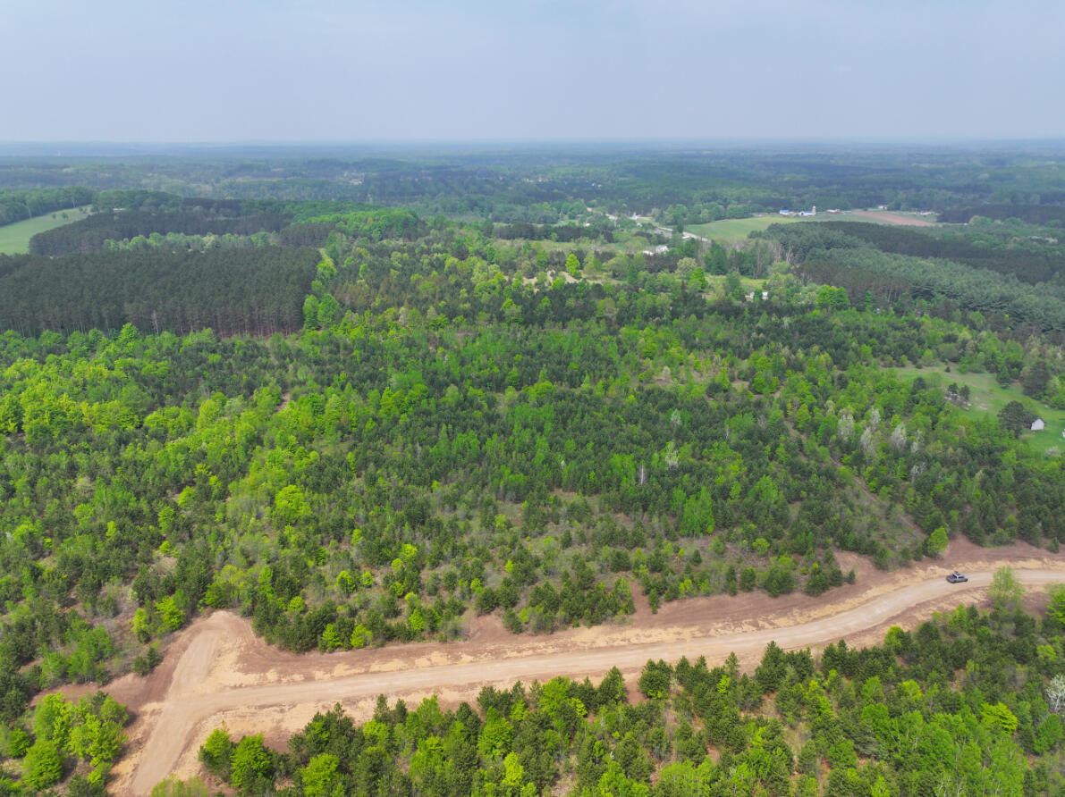 21.07 A Clark Road Kingsley, MI 49649 - Photo 10 of 25 DJI_20250604152128_0554_D