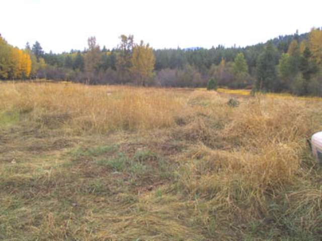 4765 Price Road Clayton, WA 99110 - Photo 6 of 7