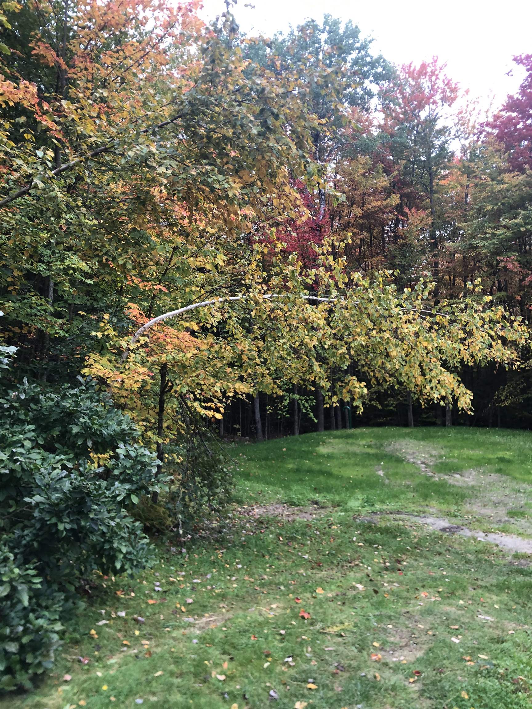 45 Bowman Road Springfield, NH 03284 - Photo 7 of 25