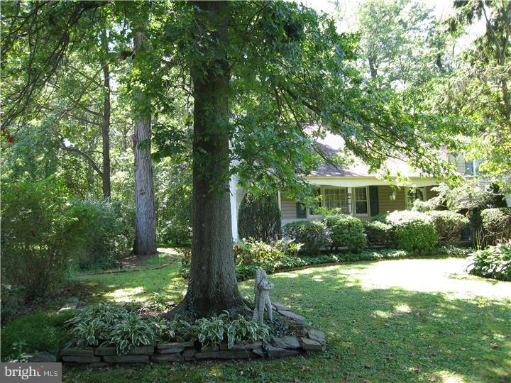 102 County Line Road Lansdale, PA 19446 - Photo 2 of 19 Front Yard