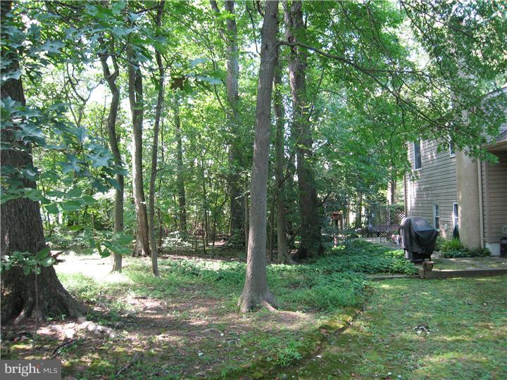 102 County Line Road Lansdale, PA 19446 - Photo 18 of 19 Back Yard