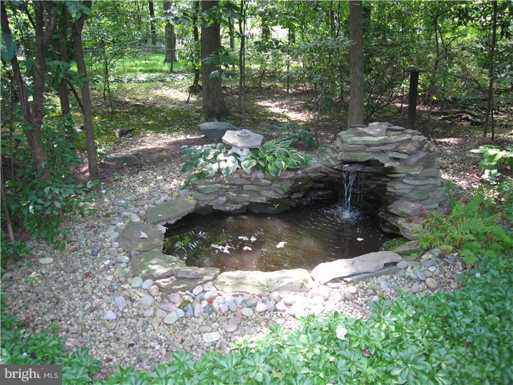 102 County Line Road Lansdale, PA 19446 - Photo 4 of 19 Back Yard