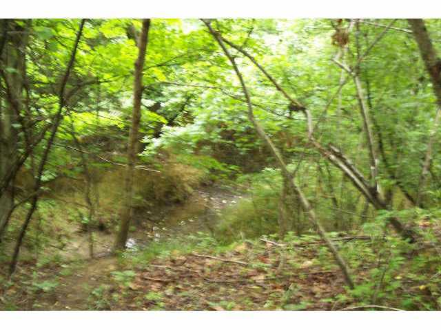 0 Shoemaker Road, Unit LOT 2 Circleville, OH 43113 - Photo 6 of 6 Gallery Image 6
