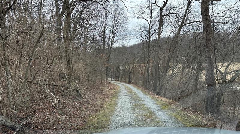 89 State Rte 908 Extension Tarentum, PA 15084 - Photo 13 of 48 a view of a backyard of the house