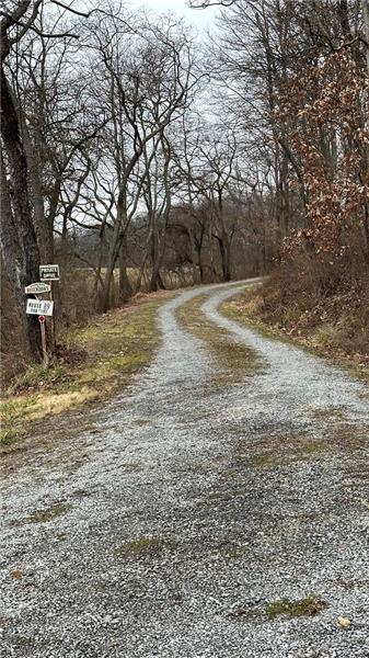 89 State Rte 908 Extension Tarentum, PA 15084 - Photo 22 of 48 a view of a yard with a tree