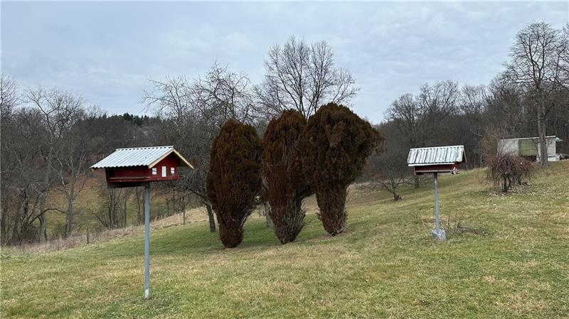 89 State Rte 908 Extension Tarentum, PA 15084 - Photo 23 of 48 a backyard of a house with lots of green space