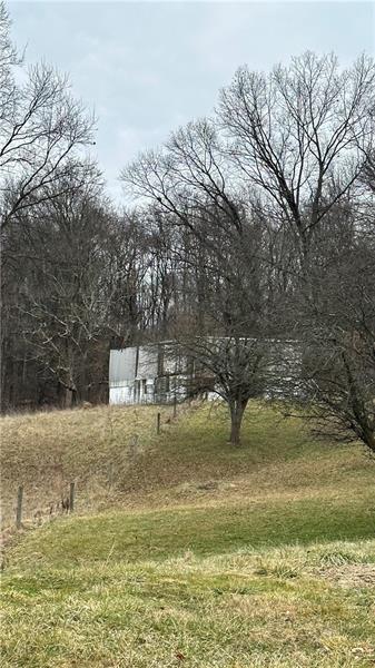 89 State Rte 908 Extension Tarentum, PA 15084 - Photo 24 of 48 a view of a yard with a tree