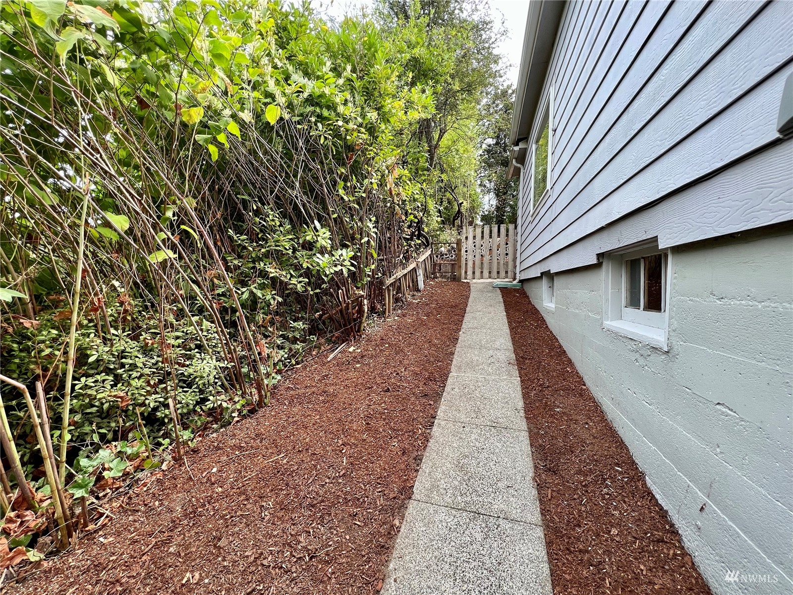 432 Cedar Avenue South Renton, WA 98057 - Photo 36 of 38 a view of a pathway with a pathway