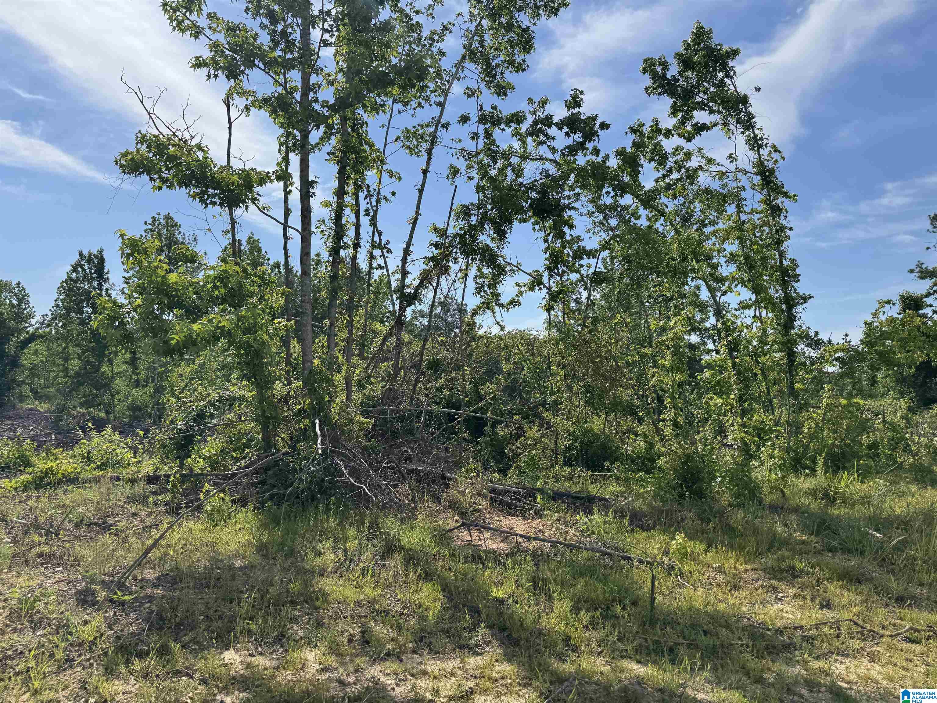 Active Road, Unit 5 Lawley, AL 36793 - Photo 32 of 38