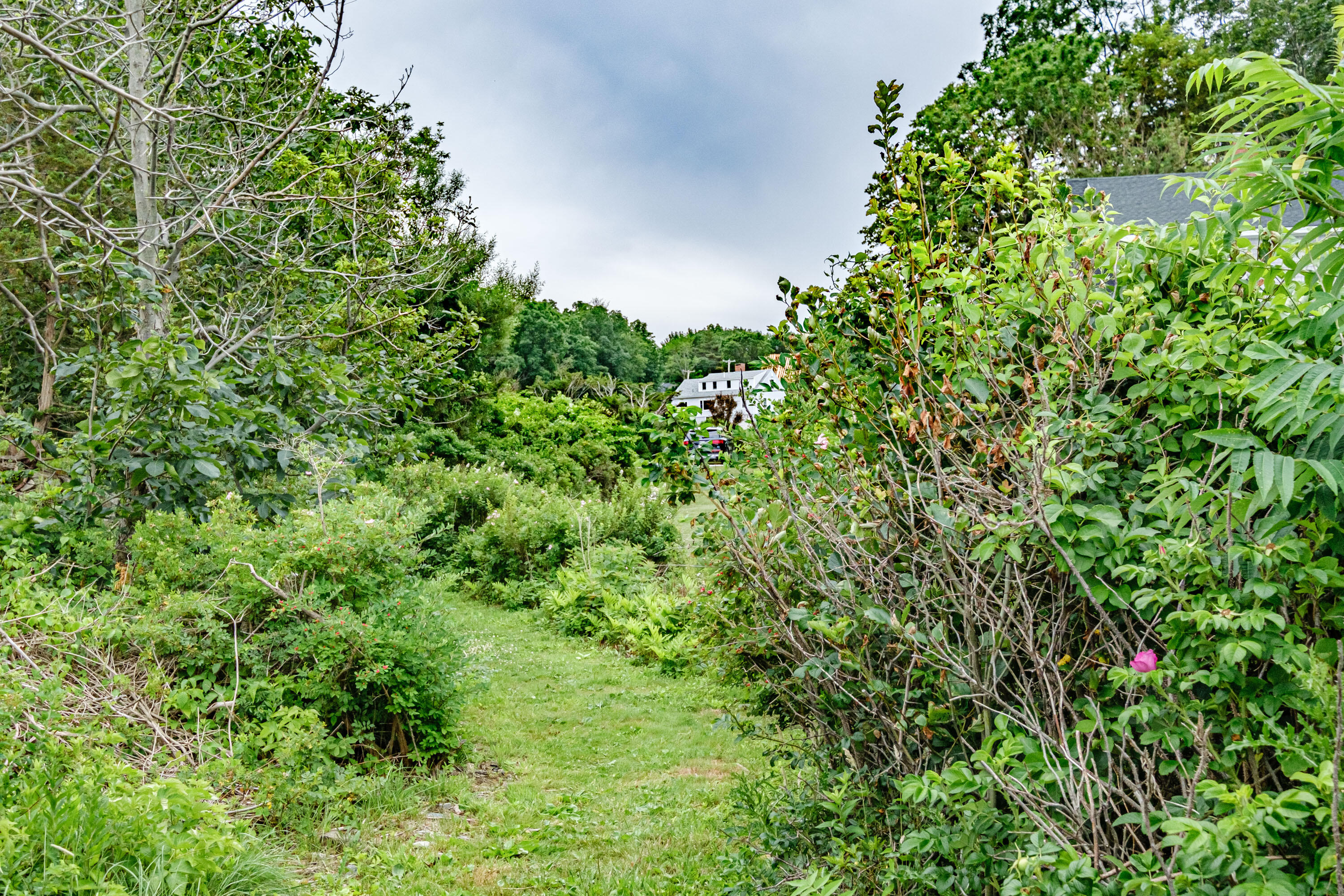 741 Shore Road Cape Neddick, ME 03902 - Photo 126 of 129 20210701mvht-63121