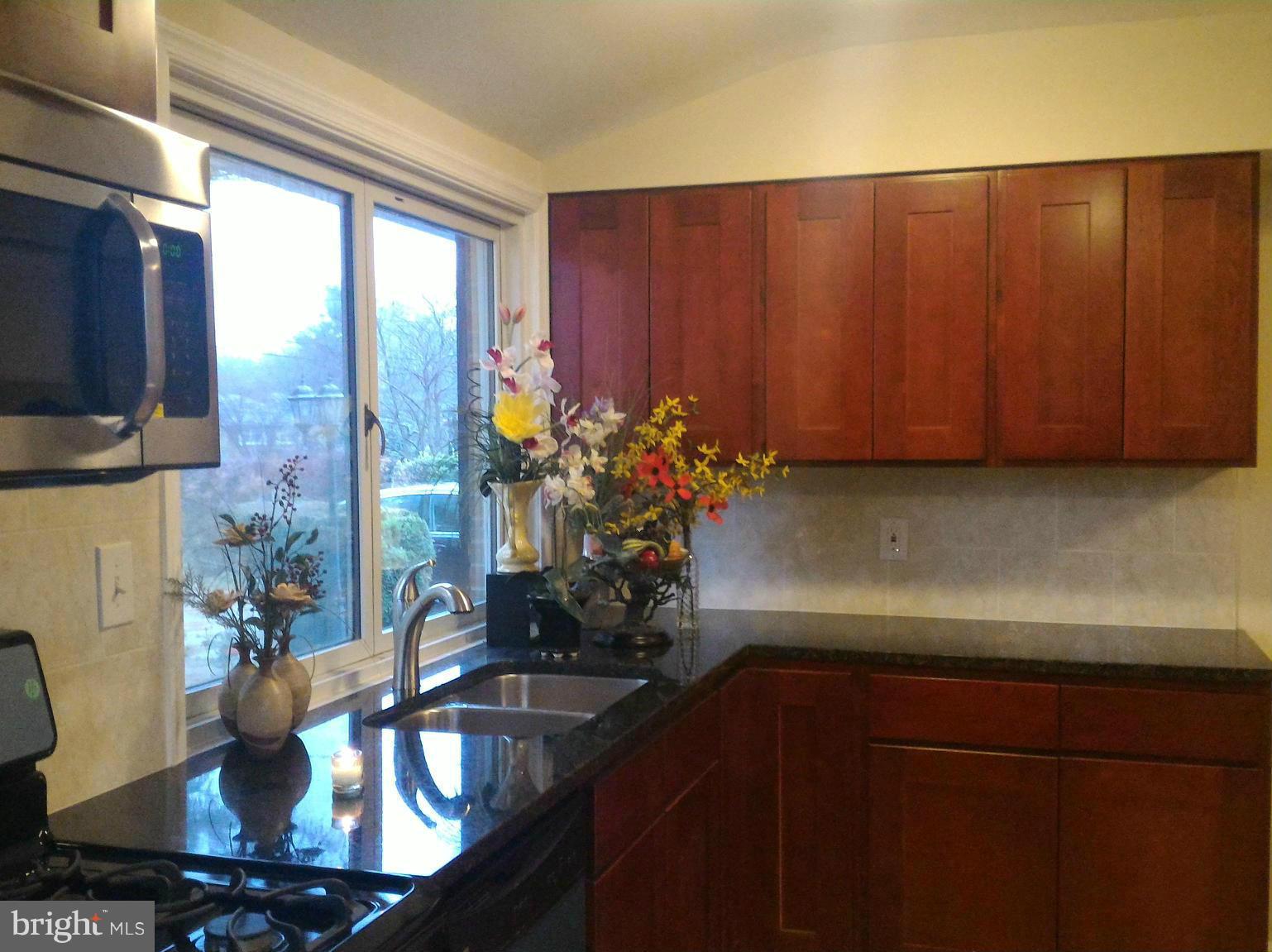 16512 Walnut Hill Road Gaithersburg, MD 20877 - Photo 10 of 20 a kitchen with a sink and cabinets