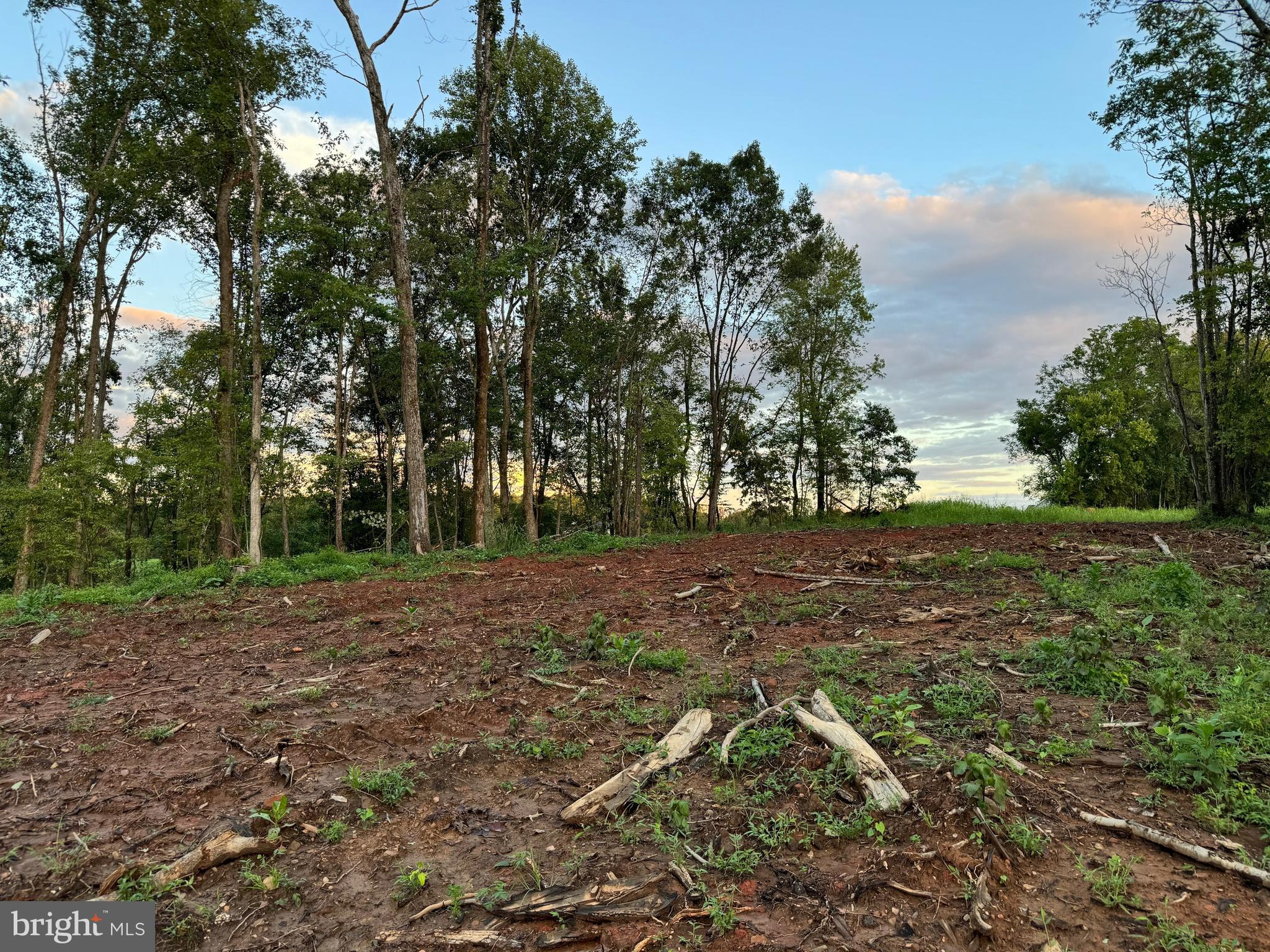 0 Mountain Ridge Way Culpeper, VA 22701 - Photo 3 of 7 Private Setting