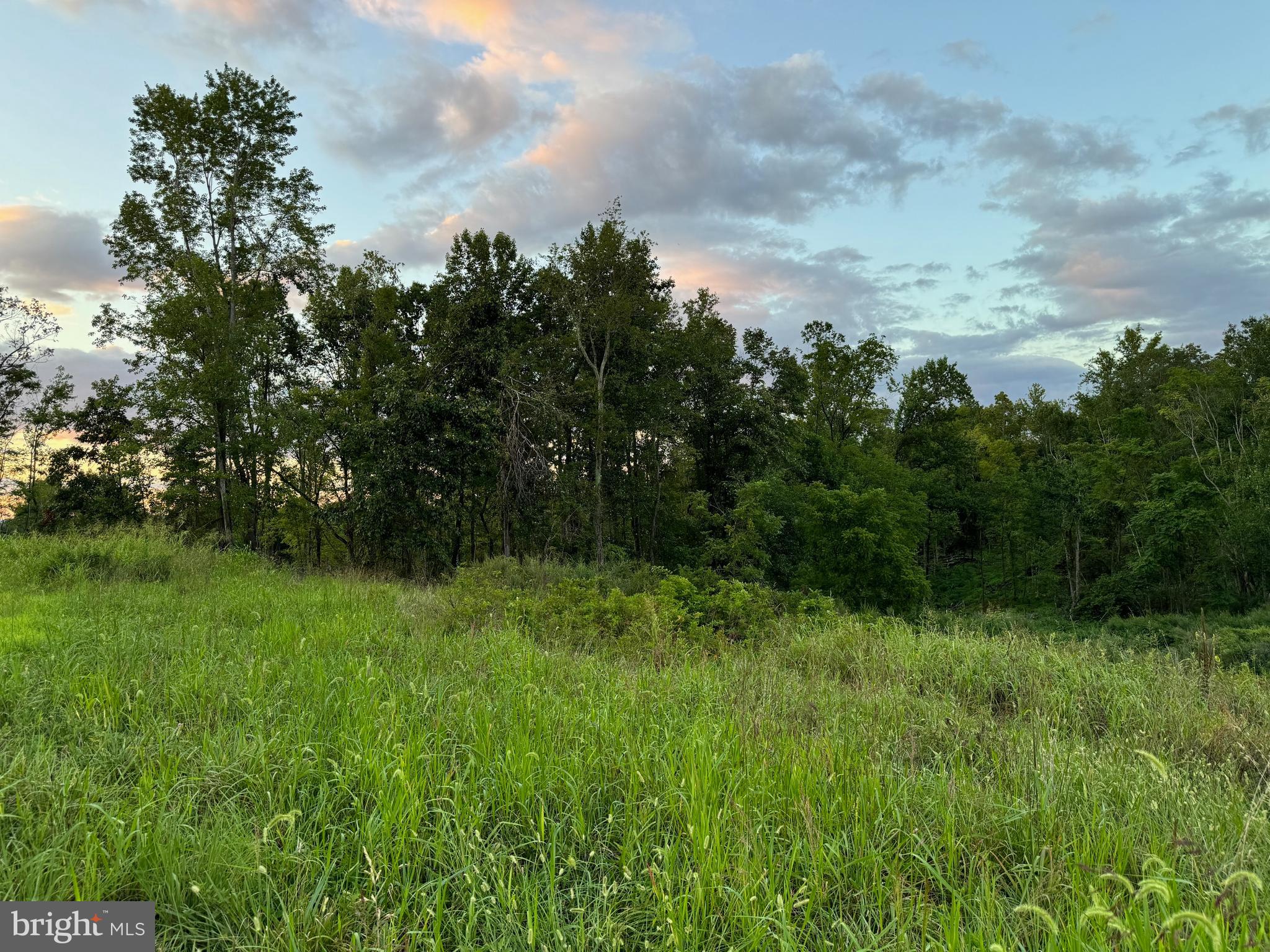 0 Mountain Ridge Way Culpeper, VA 22701 - Photo 4 of 7 Corner Lot