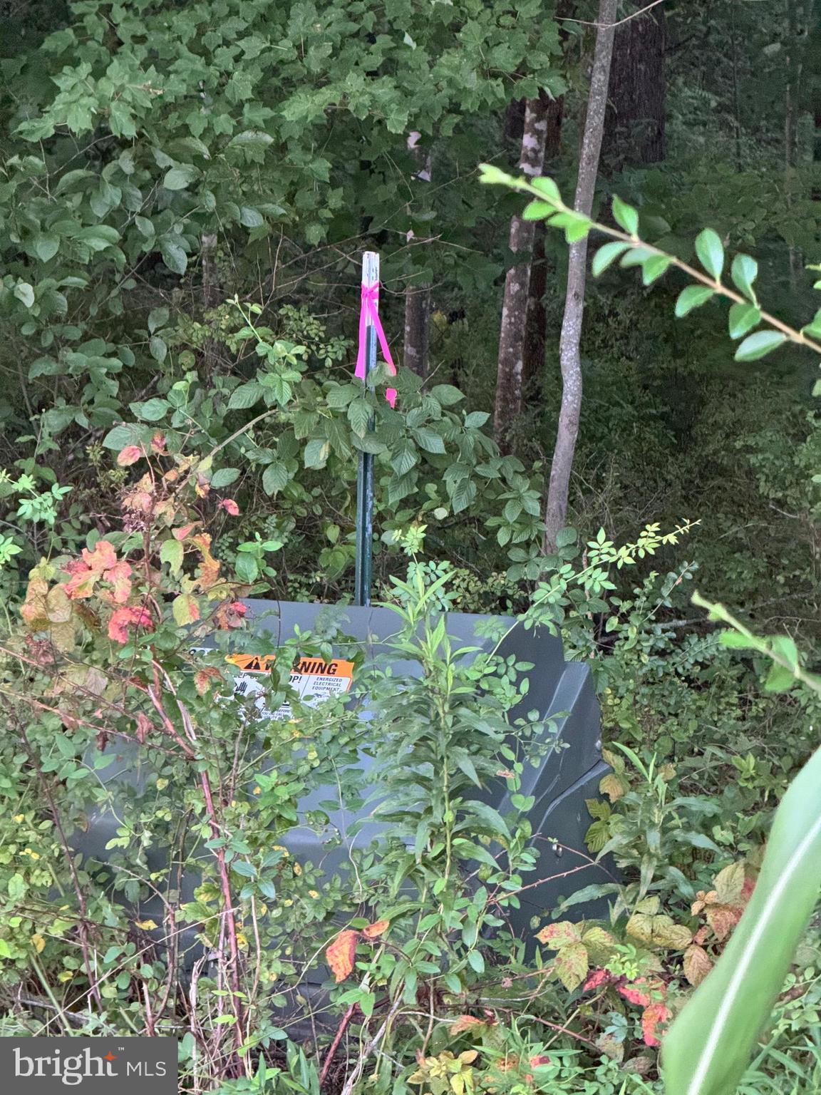 0 Mountain Ridge Way Culpeper, VA 22701 - Photo 7 of 7 Corners Marked