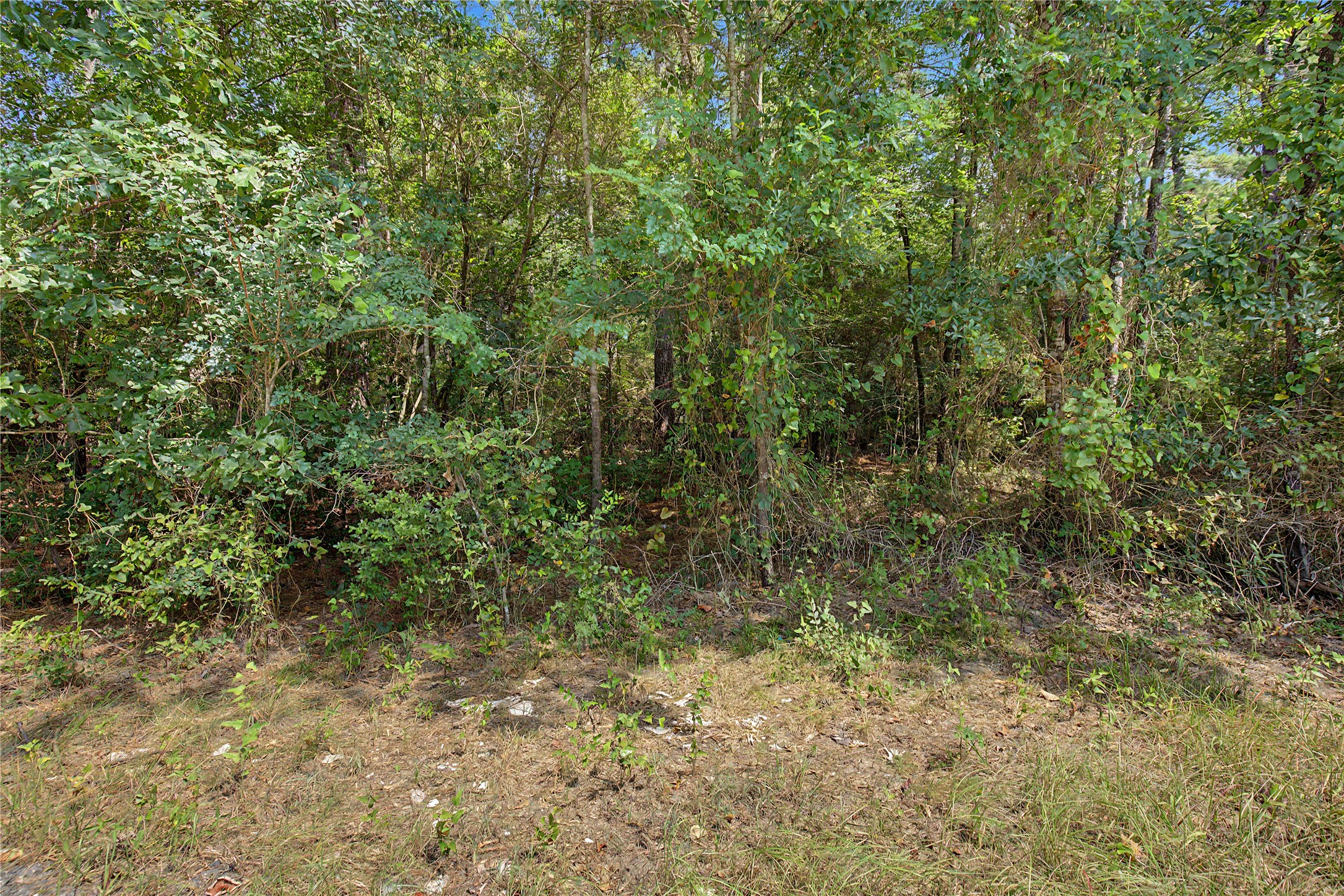 0 Bilnoski Road New Waverly, TX 77358 - Photo 28 of 41 Gallery Image 28