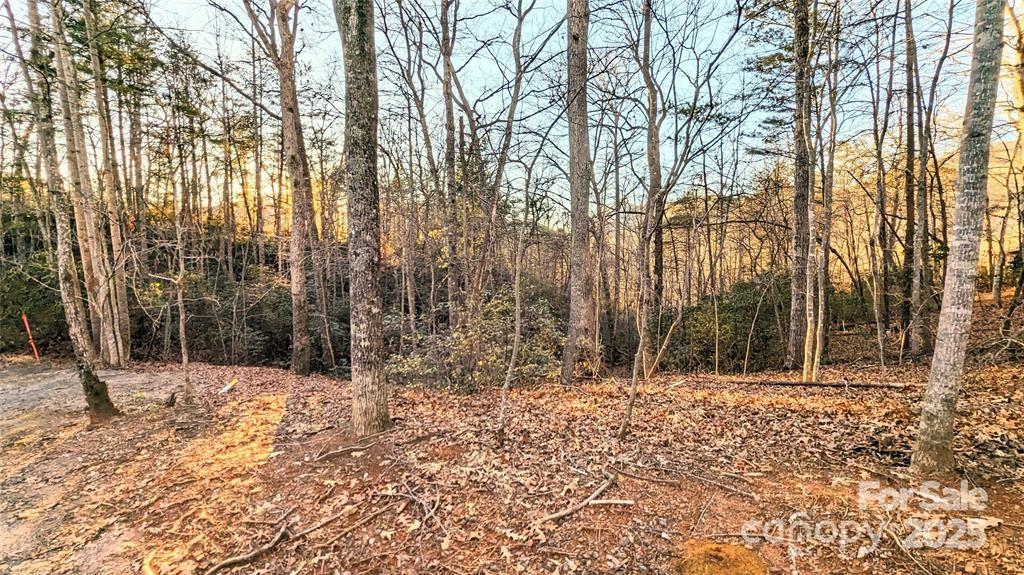 108 West Wilderness Road Lake Lure, NC 28746 - Photo 15 of 15