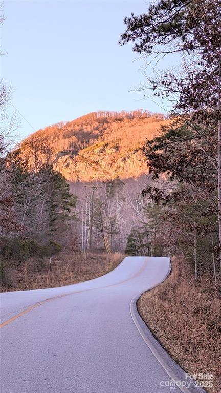 108 West Wilderness Road Lake Lure, NC 28746 - Photo 2 of 15