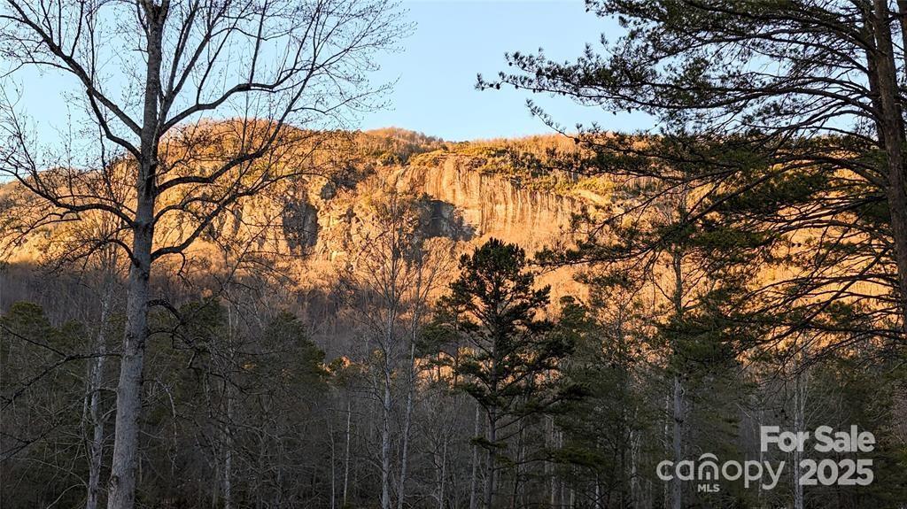 108 West Wilderness Road Lake Lure, NC 28746 - Photo 7 of 15