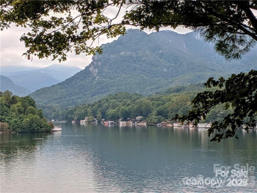 108 West Wilderness Road Lake Lure, NC 28746 - Photo 9 of 15