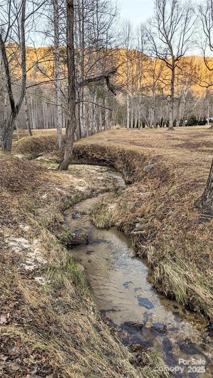 108 West Wilderness Road Lake Lure, NC 28746 - Photo 10 of 15