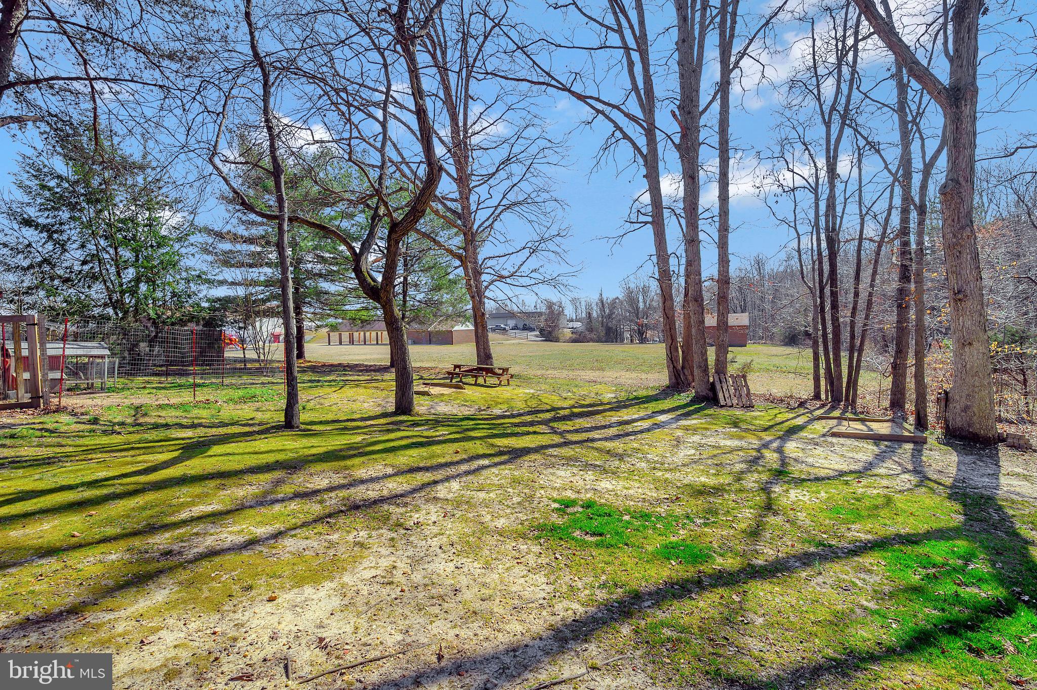 4744 Harrison Road Fredericksburg, VA 22408 - Photo 39 of 43 Peaceful Back Yard