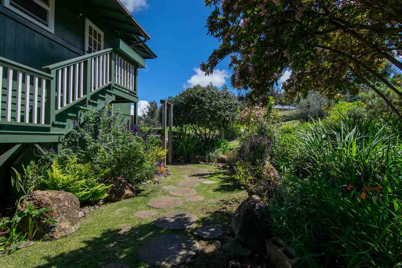 594 Hapapa Road Kula, HI 96790 - Photo 21 of 25 Gallery Image 21