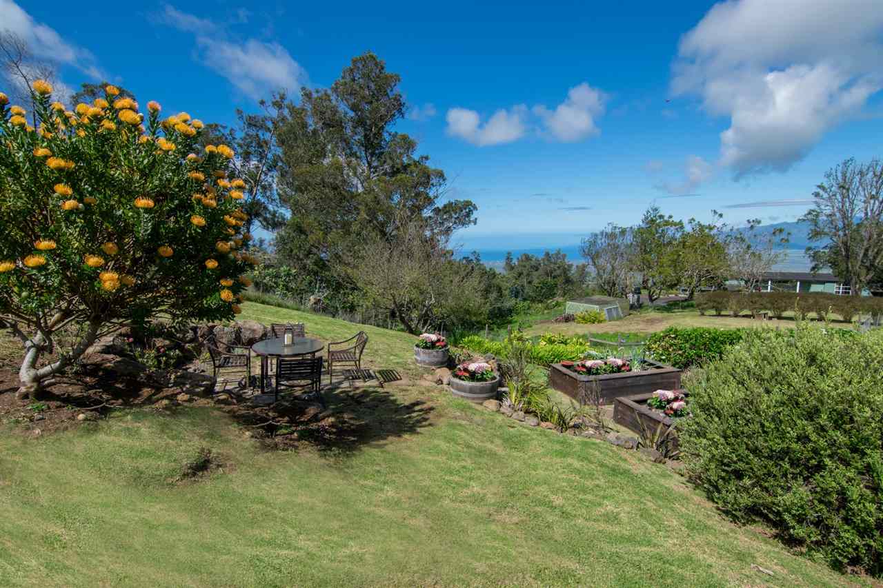 594 Hapapa Road Kula, HI 96790 - Photo 23 of 25 Gallery Image 23
