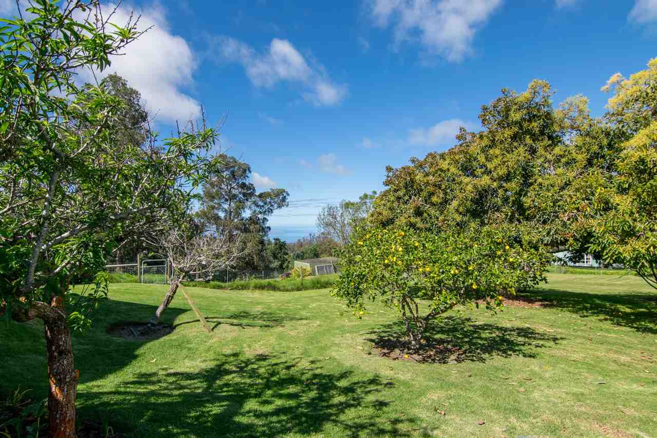 594 Hapapa Road Kula, HI 96790 - Photo 25 of 25 Gallery Image 25