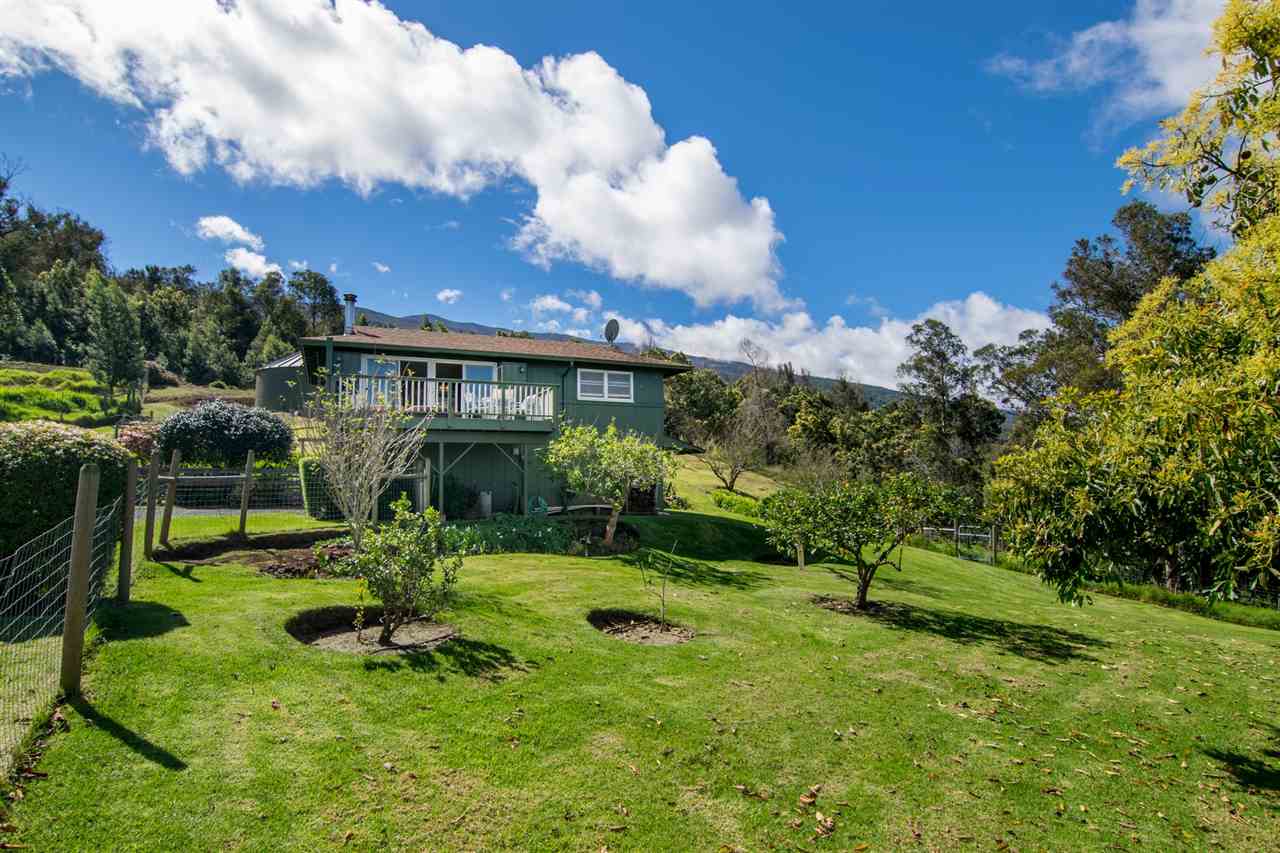 594 Hapapa Road Kula, HI 96790 - Photo 3 of 25 Gallery Image 3