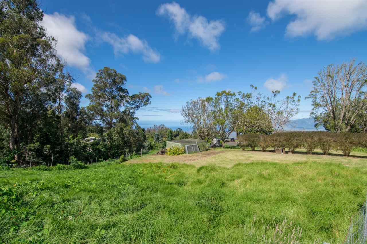 594 Hapapa Road Kula, HI 96790 - Photo 8 of 25 Gallery Image 8