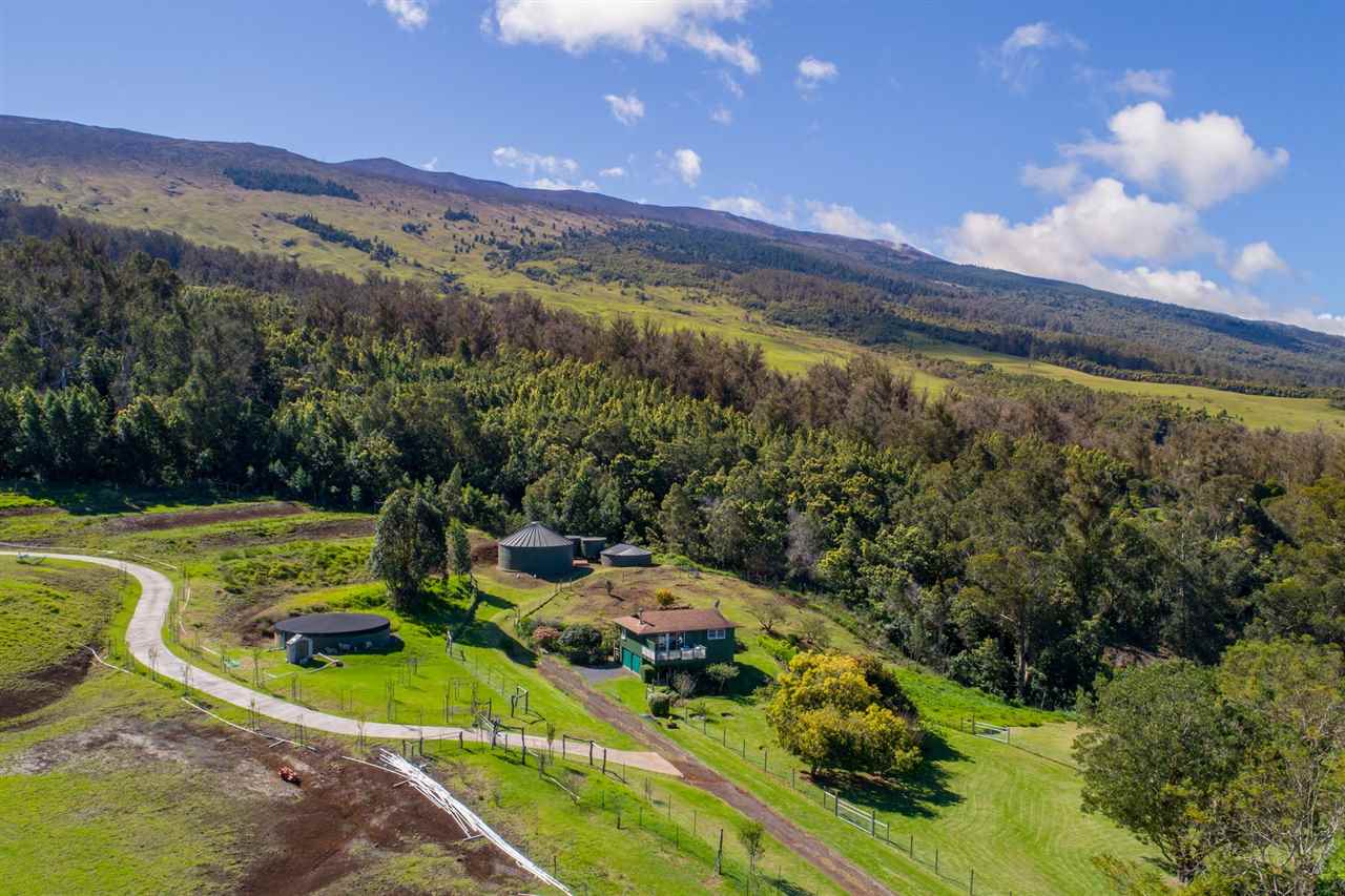 594 Hapapa Road Kula, HI 96790 - Photo 9 of 25 Gallery Image 9