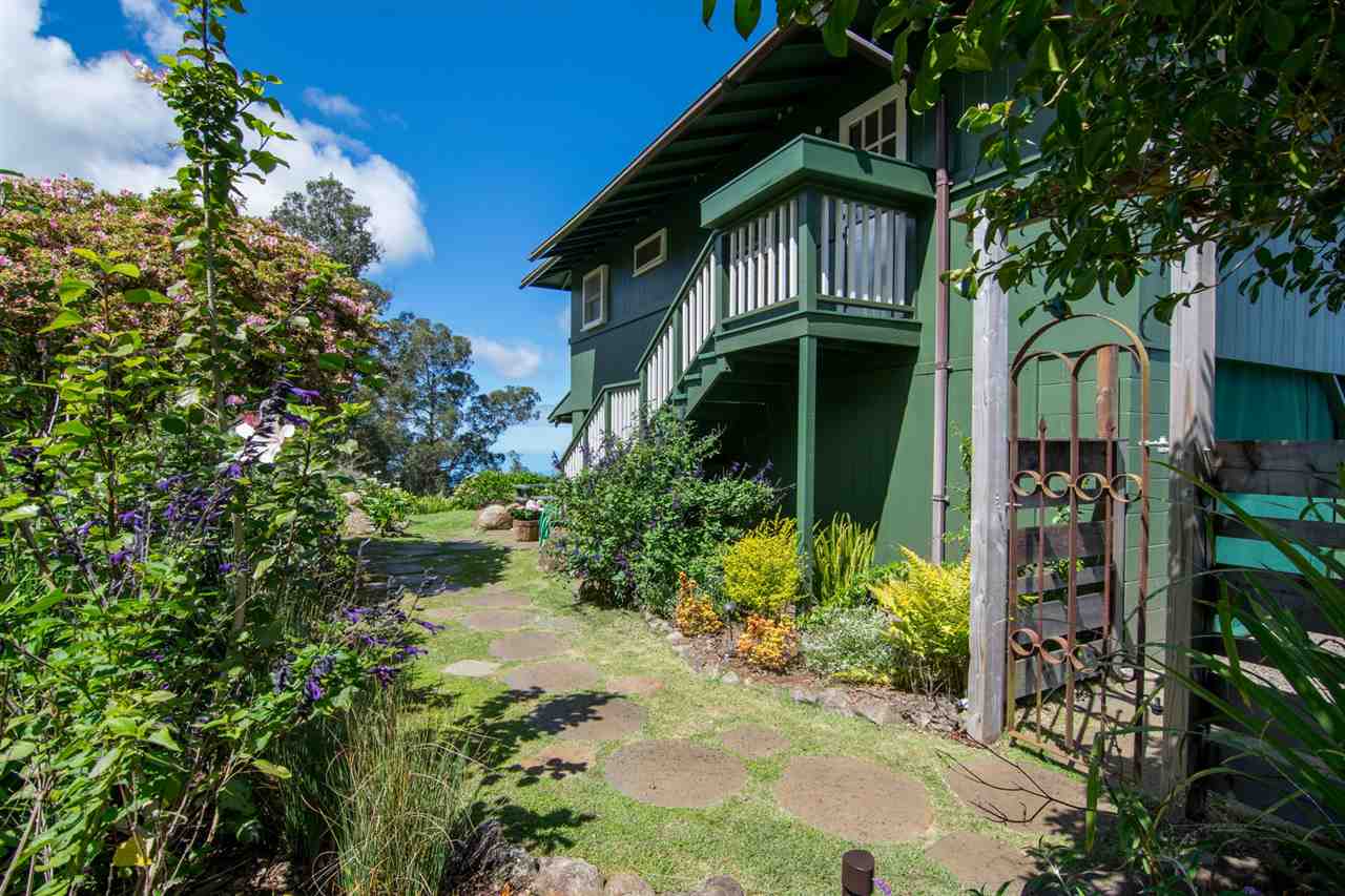 594 Hapapa Road Kula, HI 96790 - Photo 10 of 25 Gallery Image 10