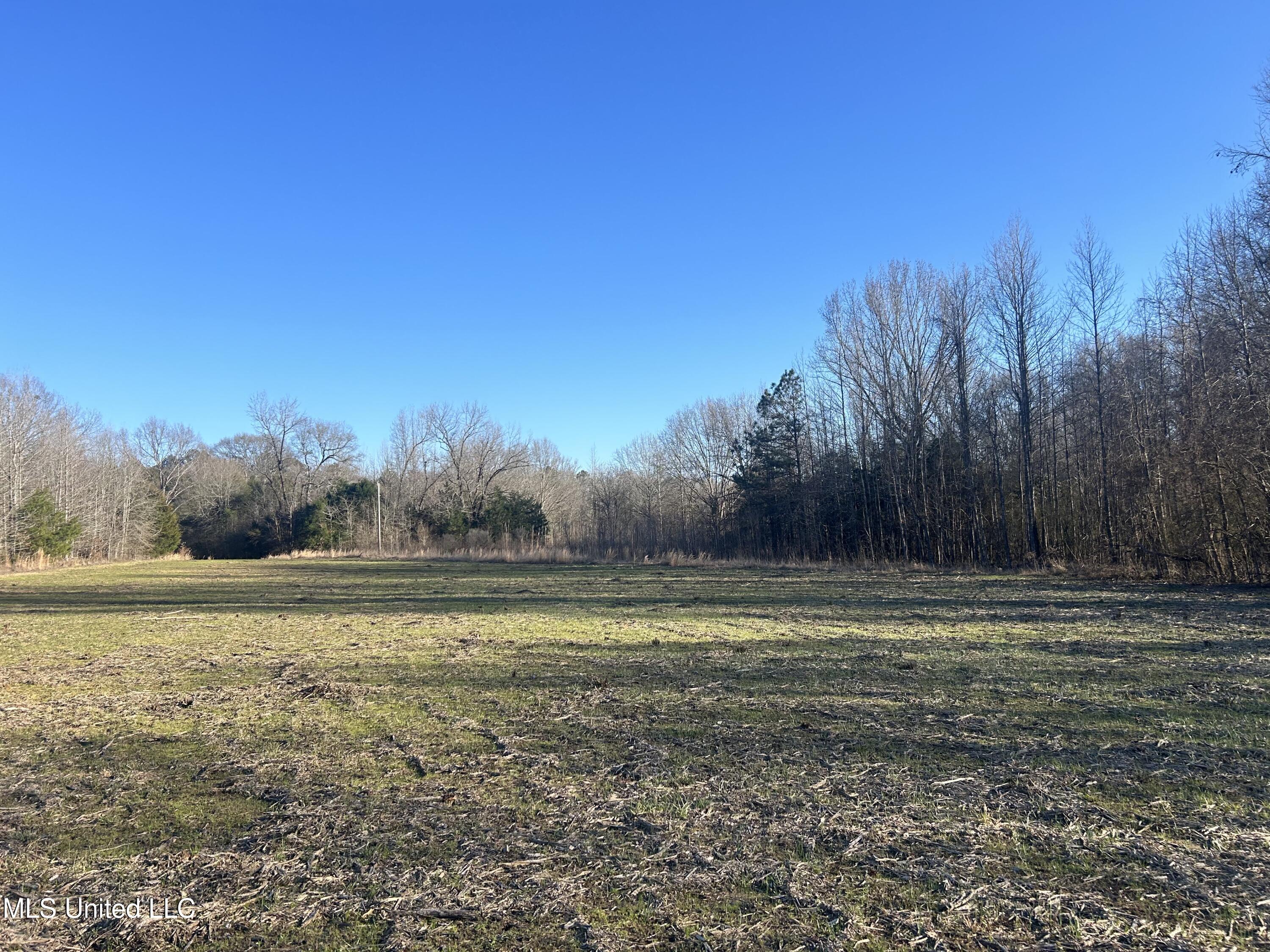 2 Darden Road Jackson, MS 39213 - Photo 5 of 33 IMG_0395
