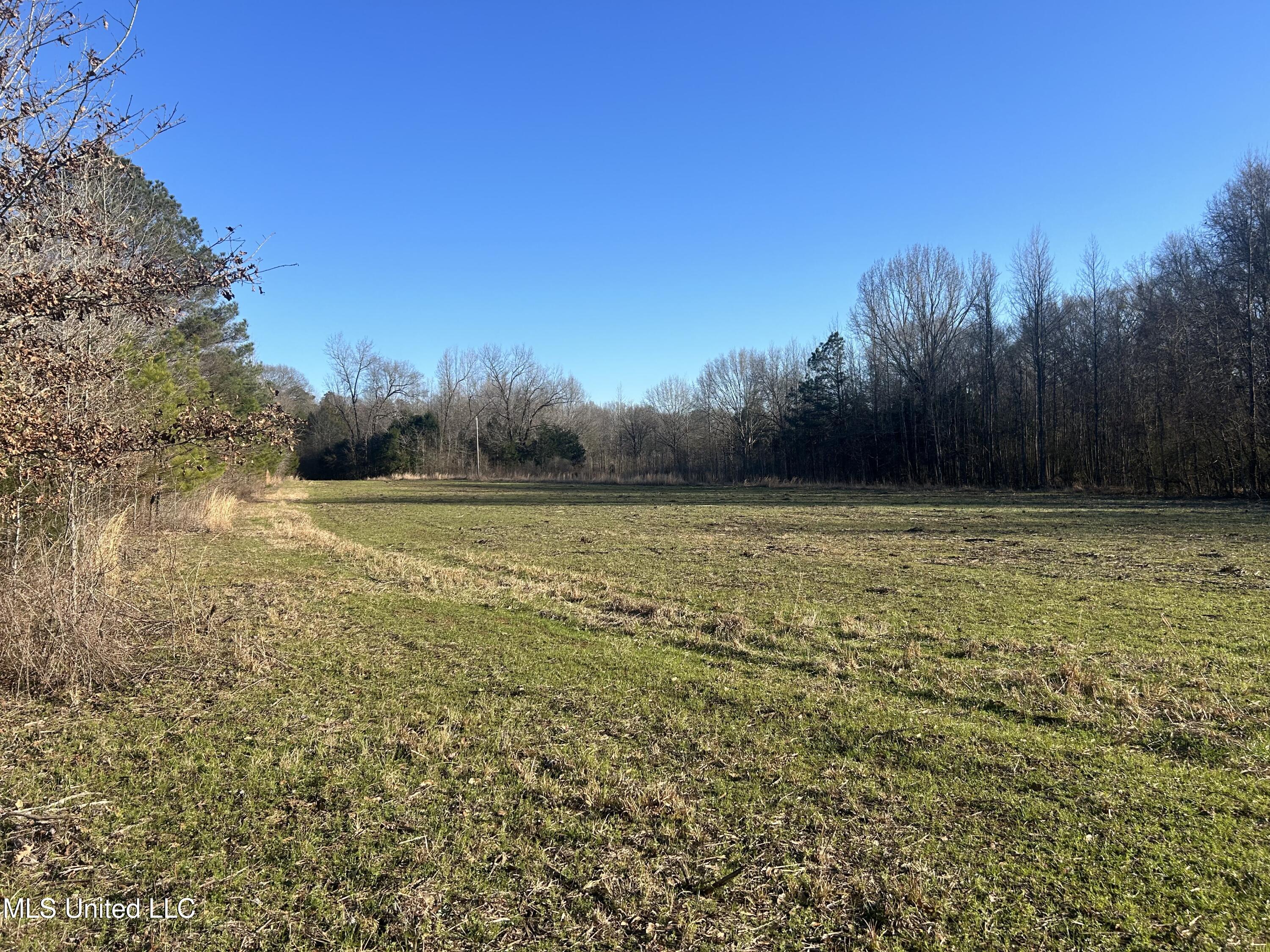 2 Darden Road Jackson, MS 39213 - Photo 9 of 33 IMG_0393