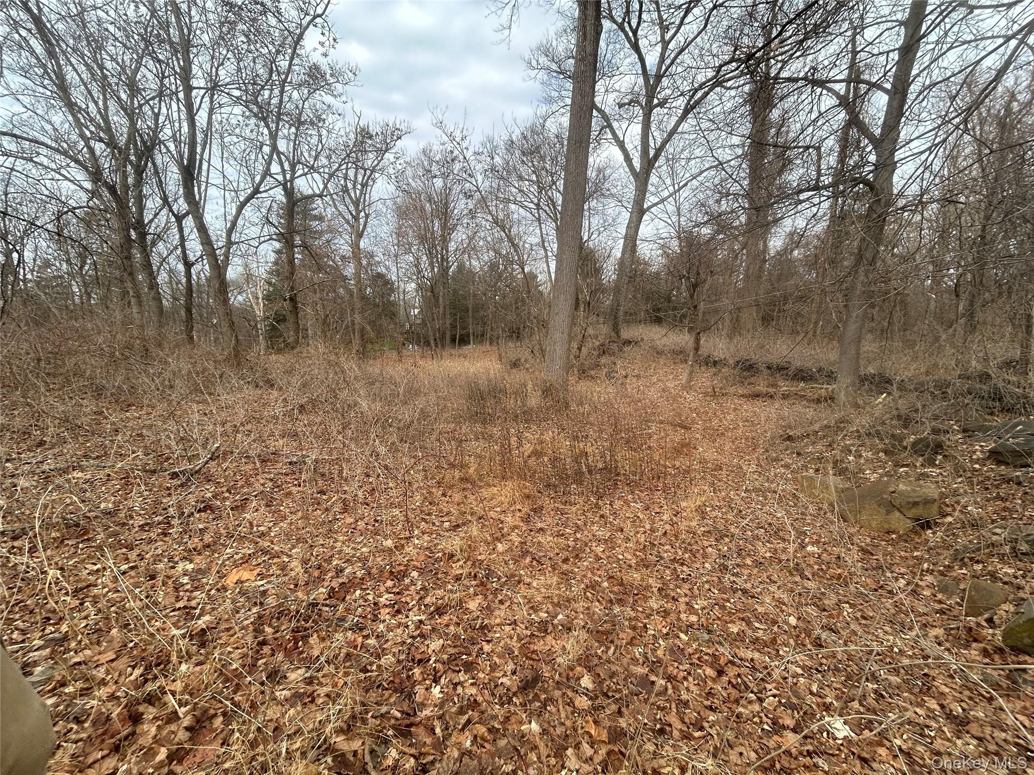 69 College Hill Road Croton-on-Hudson, NY 10520 - Photo 2 of 5 a view of a yard with trees