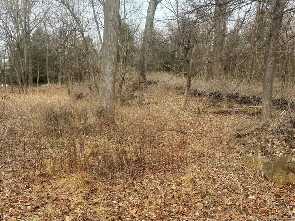 a view of a dry yard with trees