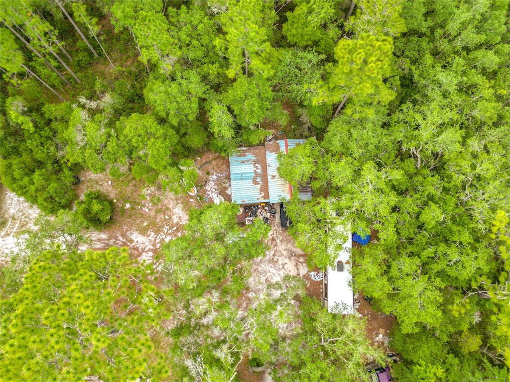 7612 Southwest 155th Street Dunnellon, FL 34432 - Photo 2 of 20