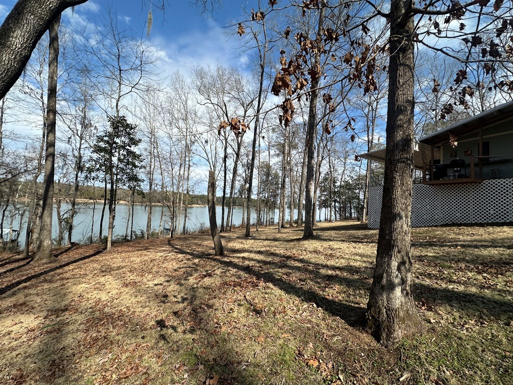 2422 County Road 97 Abbeville, AL 36310 - Photo 43 of 50